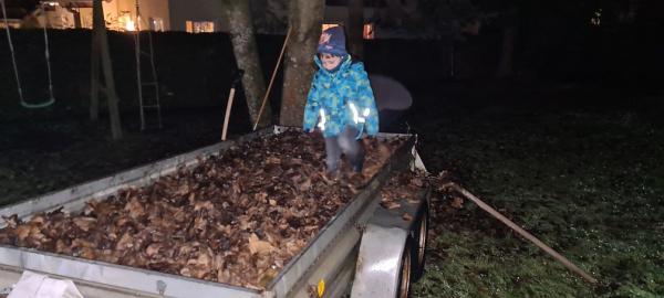 Gartenarbeit Herbst